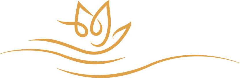 Subsidized pricing icon