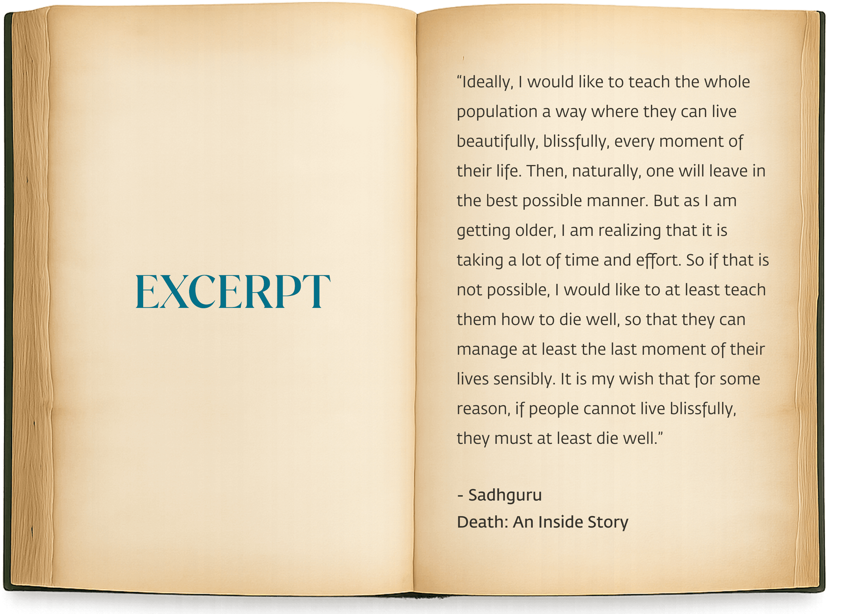 Book excerpt