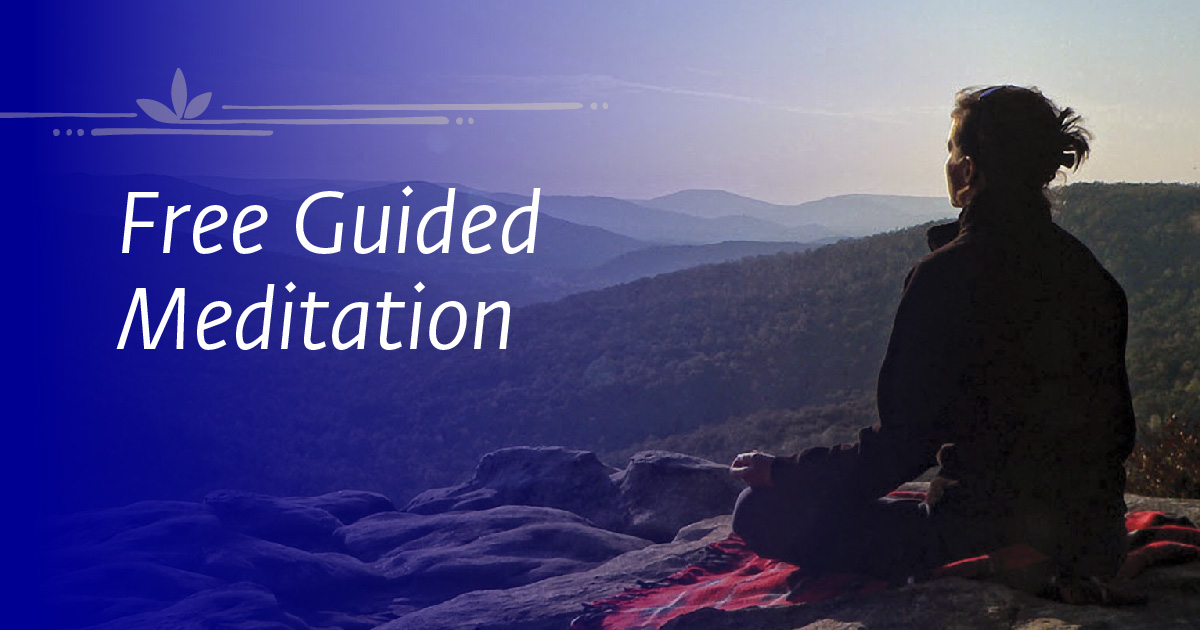 Meditation for Beginners Webinar