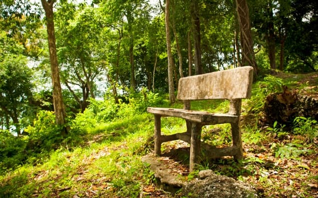 The Seat of Your Experience is Within You